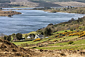 houses on the banks of the lake dunlewy lough, county donegal, ireland