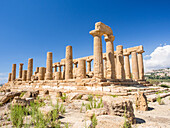 Greek ruins of Agrigento, UNESCO World Heritage Site, Sicily, Italy, Europe