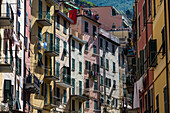 The colourful buildings of Riomaggiore's main street in the early morning sunlight, Cinque Terre, UNESCO World Heritage Site, Liguria, Italy, Europe