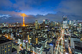 Elevated night view of the city skyline and iconic illuminated Tokyo Tower, Tokyo, Japan, Asia