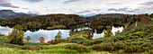 Tarn Hows near Hawkshead, Lake District National Park, UNESCO World Heritage Site, Cumbria, England, United Kingdom, Europe