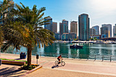 A lone cyclist rides along the waterfront, Dubai Marina, Dubai, United Arab Emirates, Middle East