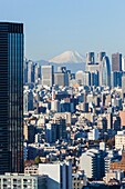 Japan, Honshu, Tokyo, City Skyline and Mt.Fuji