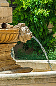 France, Landes, thermal city of Dax, Sevigne Fountain