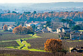 France, Gironde, St Laurent-des-Combes, AOC St Emilion vineyard (UNESCO World Heritage)