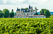 France, Gironde, hotel-restaurant of the Chateau Grand-Barrail and AOC Saint-Emilion vineyard (UNESCO World Heritage)