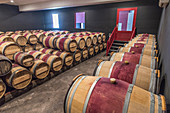 France, Gironde, Medoc, Saint-Estephe, AOC Saint-Estephe, wine warehouse of Chateau Le Crock
