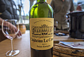 France, Gironde, Medoc, Saint-Estephe, AOC Saint-Estephe, bottle of Chateau Le Crock red wine