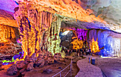 Vietnam, Ha Long Bay, lights in the Surprised Cave (Sung Sot cave) (UNESCO World Heritage)