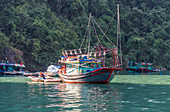 Vietnam, Ha Long Bay, fisher's floating village (UNESCO World Heritage)