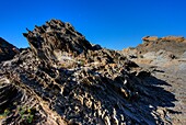 Europe,Espagne,Catalogne,Costa Brava,Cadaques, cap  Creus.