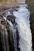 Africa, Southern Africa, Zimbabwe, Province the North of Matabeleland, Falls Victoria, National park ( Mosi-Oa-Tunya)