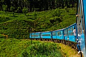 Train trip through the scenic mountains featuring many tea plantations between Nuwara Eliya (Nanu Oya) to Ella, Sri Lanka