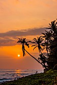 Sunset, south coast of Sri Lanka at Ahangama