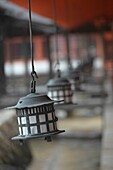 Lanterns and vermillion columns ,Miyajima Itsukushima Shrine, Japan,Asia