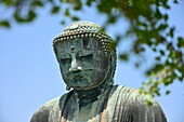 Great Buddha of Kamakura, Japan,Asia