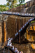 School girls climbing a staircase to the top of Sigiriya Rock (an ancient rock fortress), Central Province, Sri Lanka