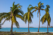 Junkanoo beach, Nassau, Providence Island, Bahamas, West Indies, Caribbean, Central America