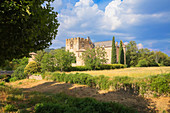 Allemagne en Provence castle, Allemagne en Provence, Alpes de Haute Provence, France, Europe