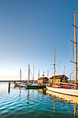 Sailing boats in the marina, Gager, Moenchgut, Ruegen Island, Mecklenburg-Western Pomerania, Germany