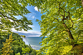 Blick auf den Königsstuhl, Victoria-Sicht, Stubbenkammer, Nationalpark Jasmund, Rügen, Mecklenburg-Vorpommern, Deutschland