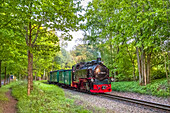 Train called Rasender Roland, Rügen Island, Mecklenburg-Western Pomerania, Germany