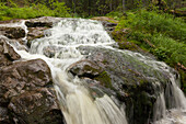 Upper course of Weisser Regen rivulet, which has its source at Kleiner Arbersee, Bavarian Forest, Bavaria, Germany