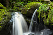 Steinklamm bei Spiegelau, Bayrischer Wald, Bayern, Deutschland