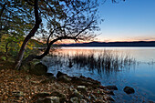 Laacher See, near Maria Laach, Eifel, Rhineland-Palatinate, Germany