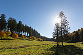 Tal der Ruhr, bei Winterberg, Rothaarsteig, Rothaargebirge, Sauerland, Nordrhein-Westfalen, Deutschland