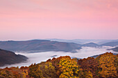 Morning mist, view over the woody hills, near Wildewiese, Rothaar mountains, Sauerland, North Rhine-Westphalia, Germany