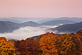 Morning mist, view over the woody hills, near Wildewiese, Rothaar mountains, Sauerland, North Rhine-Westphalia, Germany