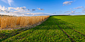 Fields and grassland near Andechs, Bavaria, Germany