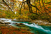 Rißtal im Herbst, Hinterriss, Karwendel, Tirol, Österreich