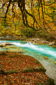 Rißtal im Herbst, Hinterriss, Karwendel, Tirol, Österreich