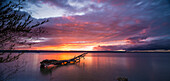 treetrunk at the shoreline of lake Ammersee, Bavaria, Germany