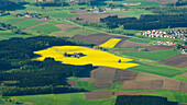 farm in the middle of a canola field, east of Erding, Bavaria, Germany