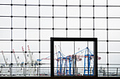 Loading cranes, Port of Hamburg, Container port, Elbe, Hamburg, Germany
