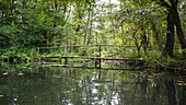 Biosphere Reserve Spreewald, Germany, Hiking, Kayaking, Recreation Area, Family Vacation, Family Outing, Paddling, Rowing, Wilderness, Excursion, Day Trip, Bridge, Wooden Bridge, Moss