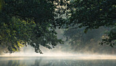 Spreewald Biosphere Reserve, Germany, Kayaking, Recreation Area, Wilderness, River Landscape in the morning mist, Solitude, Morning Mist, Water reflection