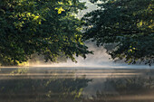 Spreewald Biosphere Reserve, Brandenburg, Germany, Kayaking, Recreation Area, Wilderness, River Landscape in the morning mist, Solitude, Water reflection at sunrise