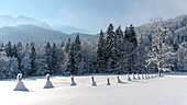 Germany, Bavaria, Alps, Oberallgaeu, Oberstdorf, Stillachtal, winter landscape, pasture fence, winter holidays, snow, mountains, coniferous forest and fence covered with snow