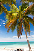 dream beach at Cayo Levisa, swimming, beach holiday, tourists, lonely beach at Cayo Levisa, beautiful small sandy beach, turquoise blue sea, palm tree, family travel to Cuba, parental leave, holiday, time-out, adventure, Cayo Levisa, day trip from Vinales