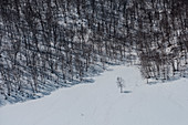 Aerial of trees in snow-covered landscape between Petropavlovsk-Kamchatsky and the Valley of the Geysirs (UNESCO World Heritage Site) seen through window of helicopter, near Petropavlovsk-Kamchatsky, Kamchatka, Russia, Asia