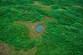 Blick aus der Vogelperspektive auf einen kleinen Teich umgeben von Gras und Sträuchern, nahe Kodiak, Kodiak Island, Alaska, USA, Nordamerika