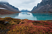 Herbstfarben dominieren die Tundra im Vordergrund während Expeditions-Kreuzfahrtschiff MS Bremen (Hapag-Lloyd Cruises) umgeben von Bergen im grünen Wasser vor Anker liegt Dronning Marie Dal (Valley), Skjoldungen Fjord, im Südosten von Grönland, Europa