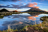 Vulcano Mount Egmont reflecting in lake, Egmont National Park, Taranaki, North island, New Zealand