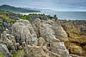 Geschichtete Felsformation an der Küste, Pancake Rocks, Punakaiki, West Coast, Südinsel, Neuseeland