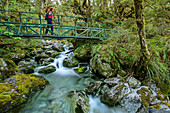 Frau wandert auf Brücke über Bach, Routeburn Track, Great Walks, Fiordlands Nationalpark, UNESCO Welterbe Te Wahipounamu, Queenstown-Lake District, Otago, Südinsel, Neuseeland