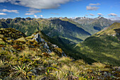 Blick auf Fiordland Nationalpark vom Kepler Track, Kepler Track, Great Walks, Fiordlands Nationalpark, UNESCO Welterbe Te Wahipounamu, Southland, Südinsel, Neuseeland